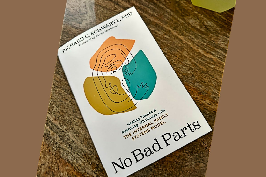 Embracing Every Part of Ourselves: Lessons from Richard Schwartz’s No Bad Parts