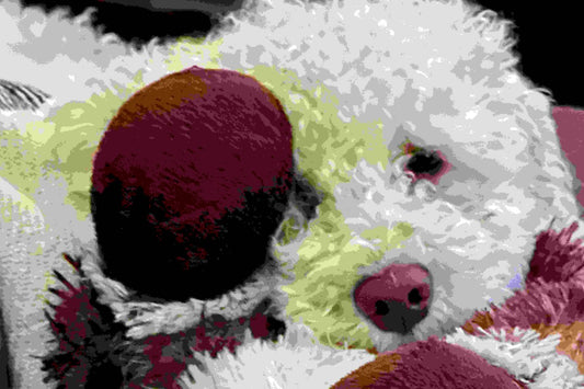 Who Gets the Pet?  Landmark Pet Custody Probate Court Decisions